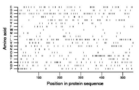 amino acid map