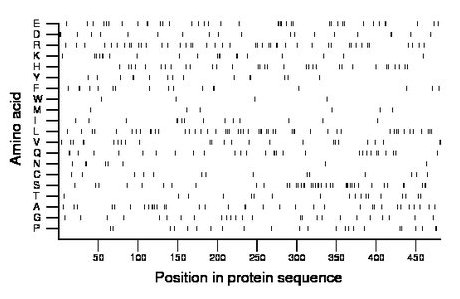 amino acid map