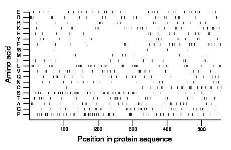 amino acid map