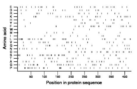 amino acid map