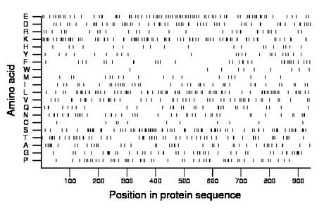 amino acid map