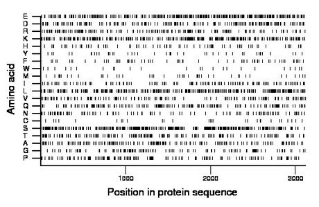 amino acid map