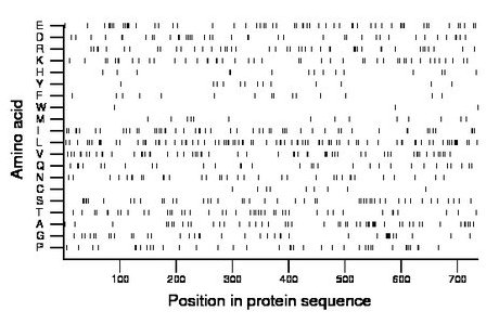 amino acid map