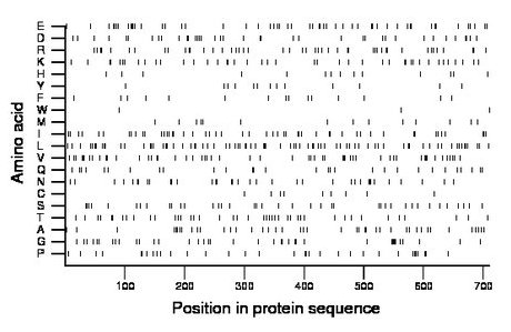 amino acid map