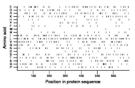 amino acid map