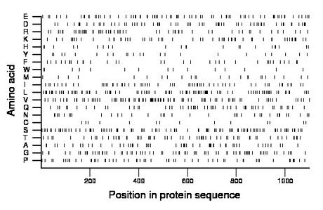 amino acid map