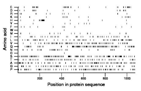 amino acid map