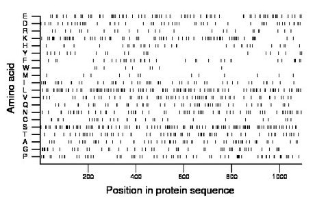 amino acid map