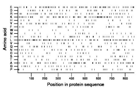 amino acid map