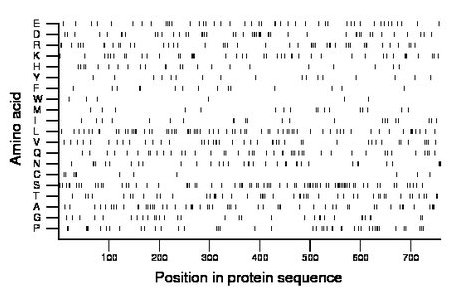 amino acid map