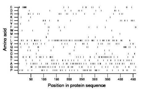 amino acid map