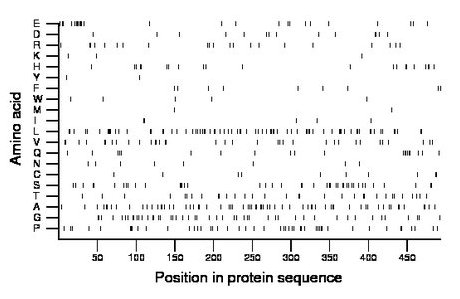 amino acid map