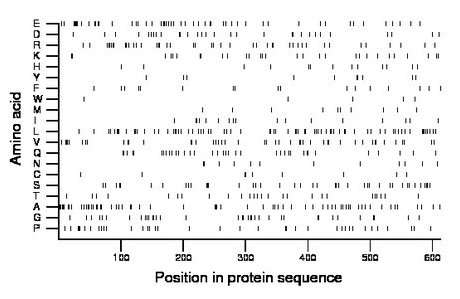 amino acid map