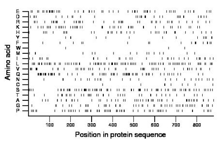 amino acid map