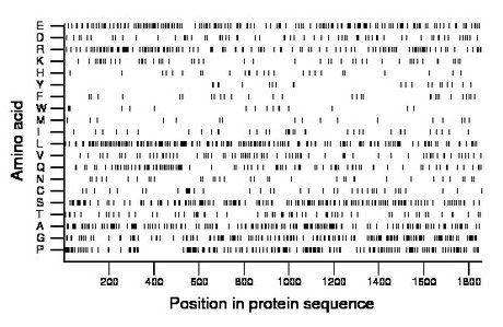 amino acid map