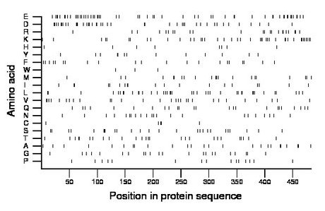 amino acid map