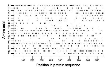 amino acid map