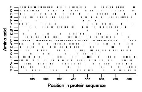 amino acid map