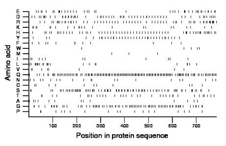 amino acid map