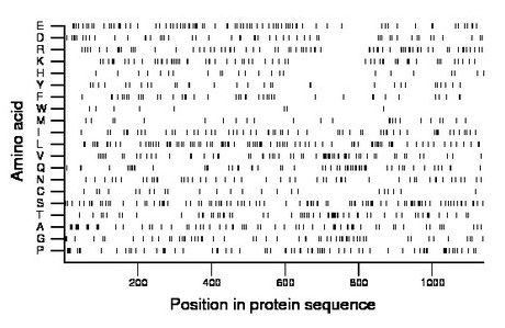 amino acid map