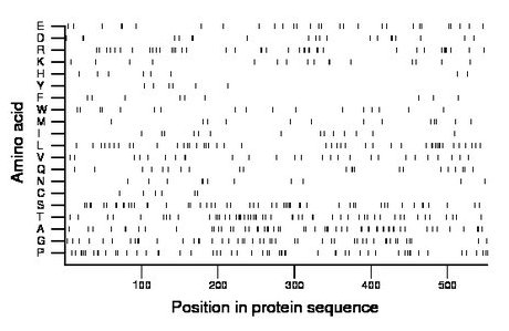 amino acid map