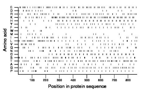 amino acid map