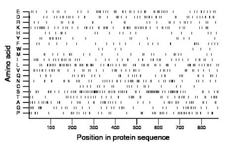 amino acid map