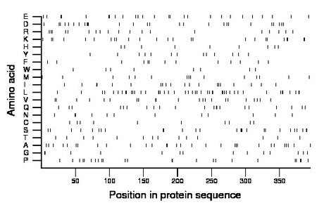 amino acid map