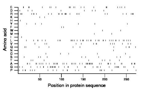 amino acid map