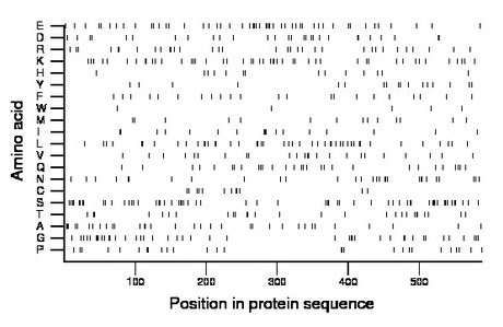 amino acid map