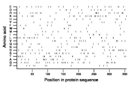 amino acid map