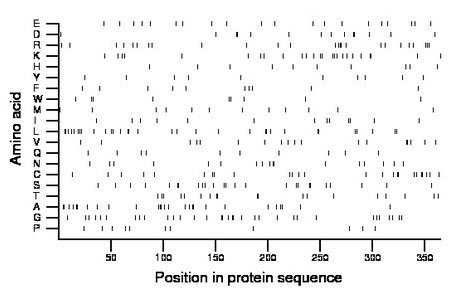 amino acid map