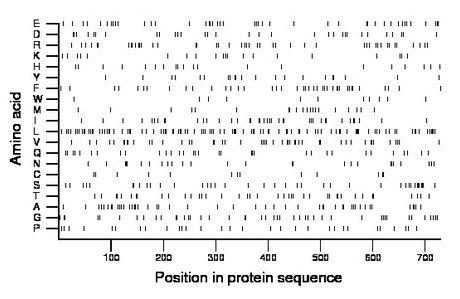 amino acid map