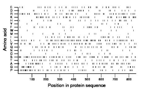 amino acid map