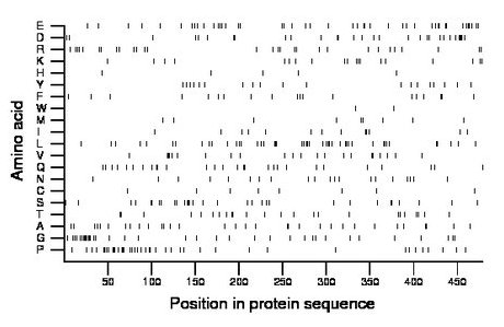 amino acid map