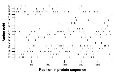 amino acid map