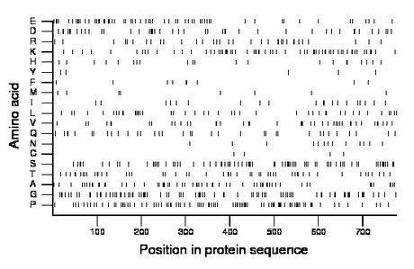 amino acid map