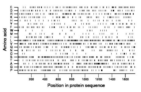 amino acid map