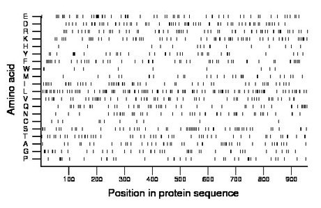 amino acid map