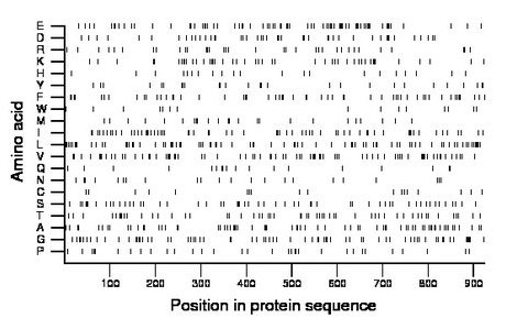 amino acid map