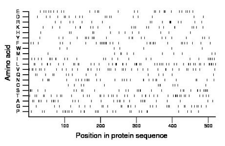 amino acid map