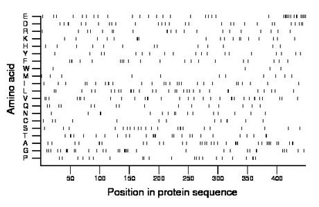 amino acid map