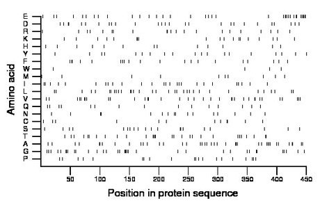 amino acid map