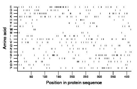 amino acid map