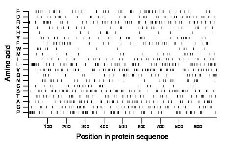 amino acid map