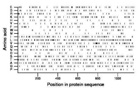 amino acid map