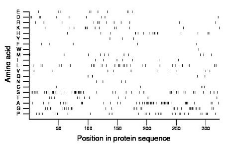 amino acid map