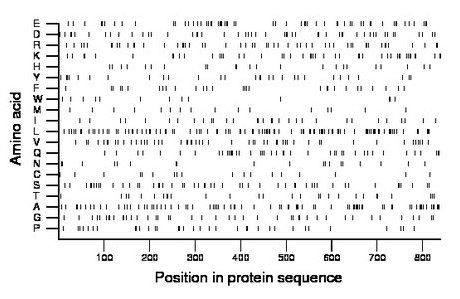 amino acid map