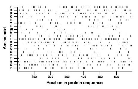 amino acid map