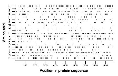 amino acid map